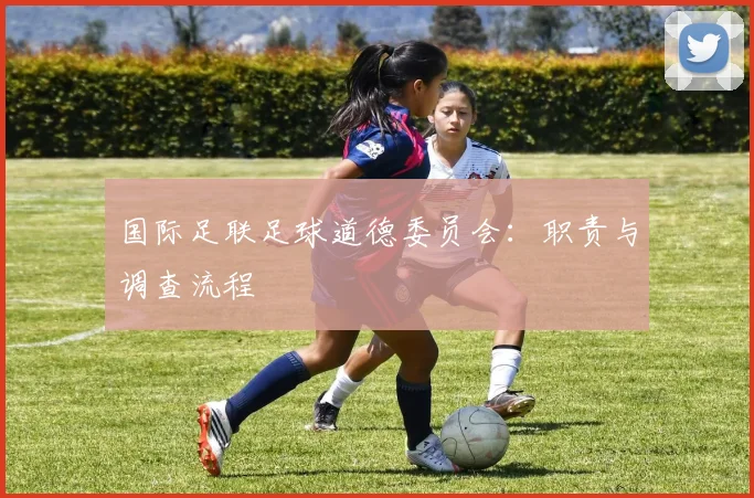 国际足联足球道德委员会:职责与调查流程