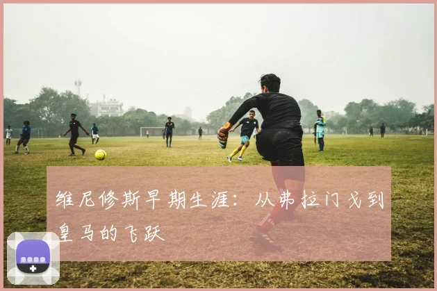 维尼修斯早期生涯:从弗拉门戈到皇马的飞跃