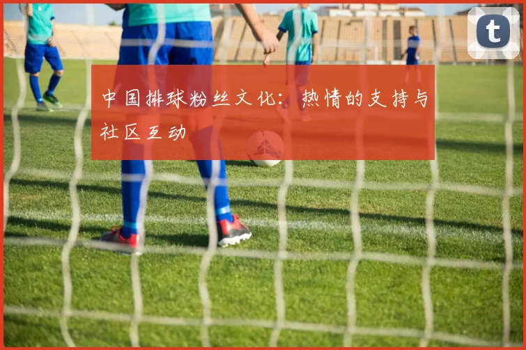 中国排球粉丝文化:热情的支持与社区互动