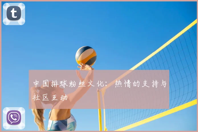 中国排球粉丝文化:热情的支持与社区互动